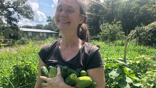 Reflecting on Farming Seasons for Christmas