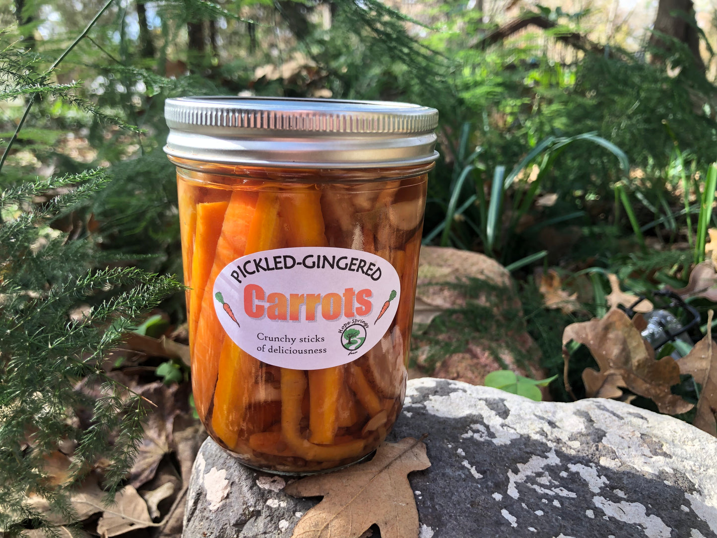 Pickled-Gingered Carrots