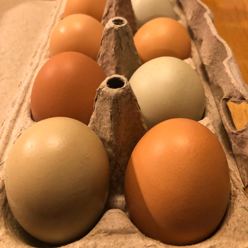 Farm Fresh Eggs