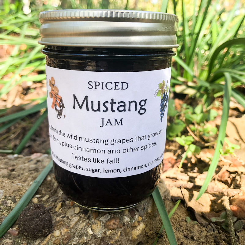 Spiced Mustang Jam