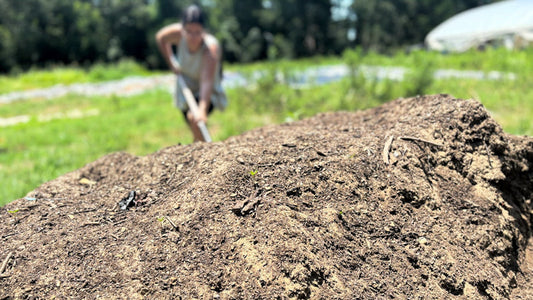 Composting 101: Why & How to Make Garden Compost