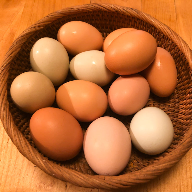 The Benefits of Farm-Fresh Eggs