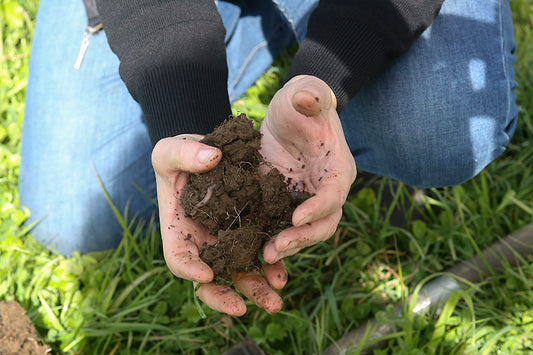 It Starts With The Soil