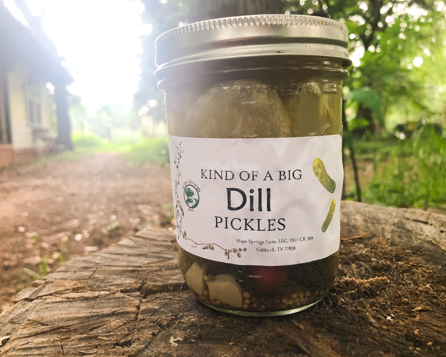 Dill Pickles