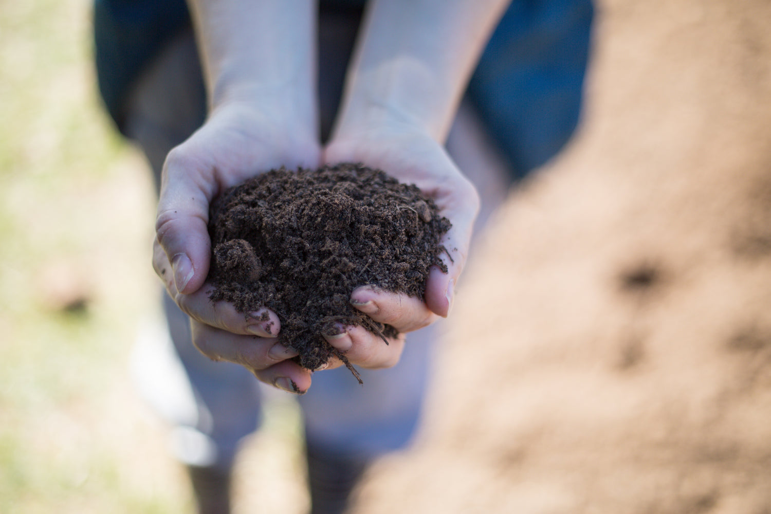 soil regeneration