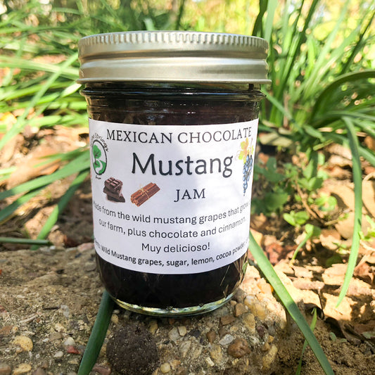 Mexican Chocolate Mustang Jam