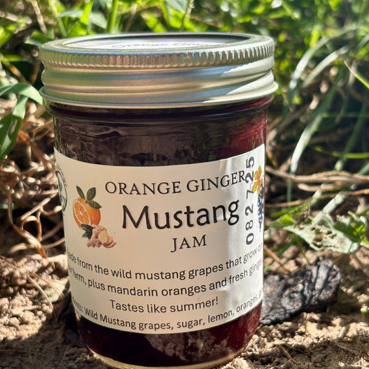 Orange Ginger Mustang Jam